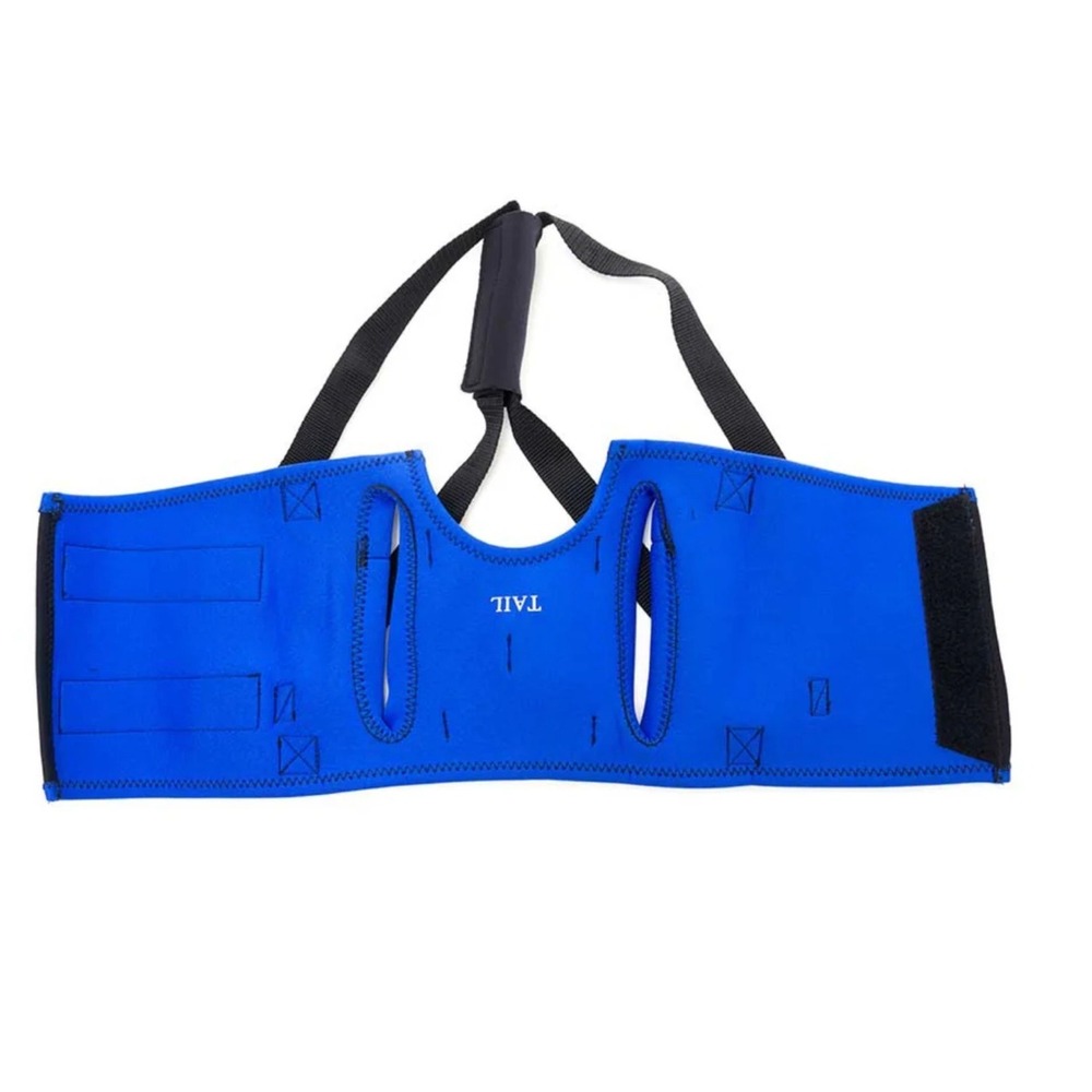Tail Walkabout Dog Rear Support Harness Walker Aid Mobility Lift Vest Blu Medium